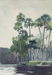 Homosassa River, 1904
